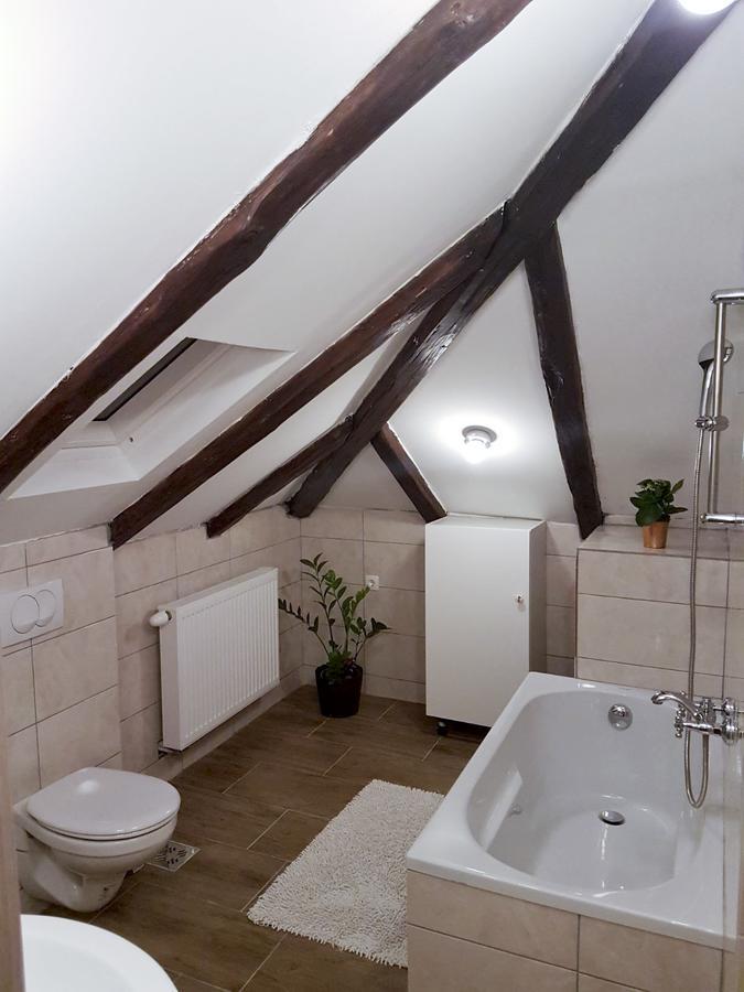 Mickey Mouse Supilova 24 Apartment Zagreb Ngoại thất bức ảnh