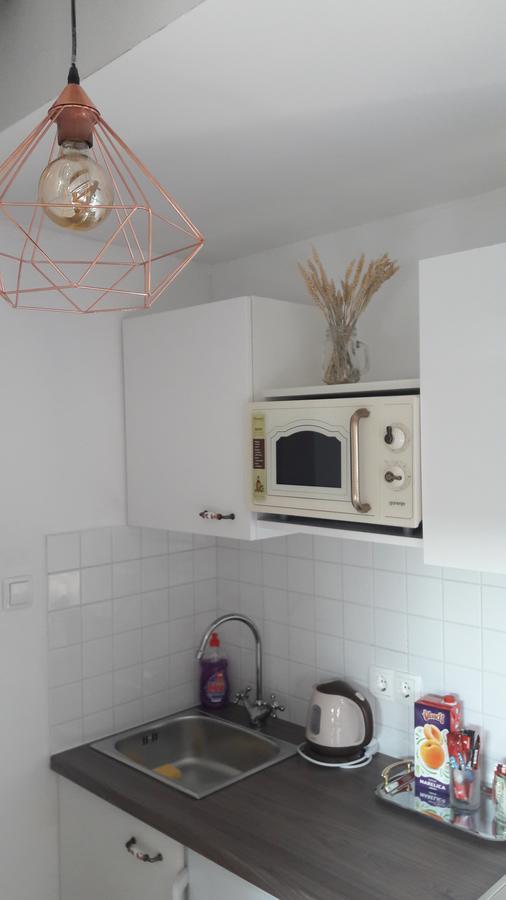 Mickey Mouse Supilova 24 Apartment Zagreb Ngoại thất bức ảnh